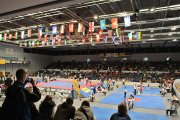 11 tatami v hale