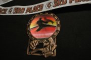 Tiger pokal Pirmasens