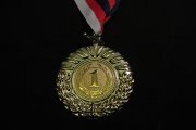 Sokol cup