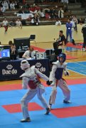 C:\fakepath\DSC 2212