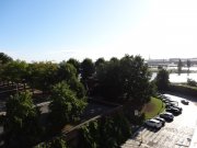 C:\fakepath\DSC03527