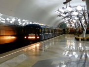 C:\fakepath\DSC01823