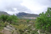 C:\fakepath\DSC 4782