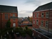 C:\fakepath\IMG 20161022 080500