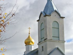 C:\fakepath\DSC 3649