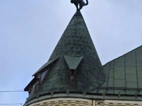 Kočičí symbol Rigy