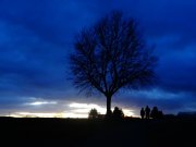 C:\fakepath\DSC08224