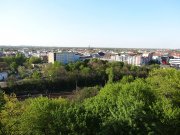 C:\fakepath\DSC00270